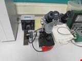 Zeiss Stereomikroskop